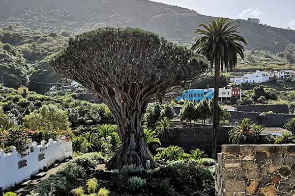 Teneriffa
